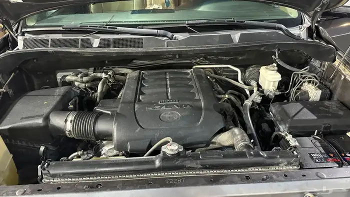 سيكويا مالك اول وكاله 3