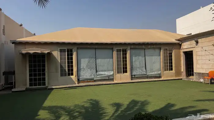 بين شعر للبيع 0