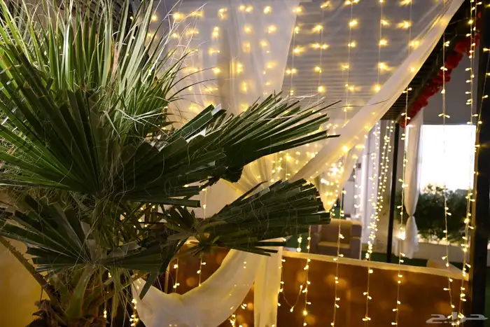 المدينة المنورة حي الغابة طريق عثمان بن عفان 32