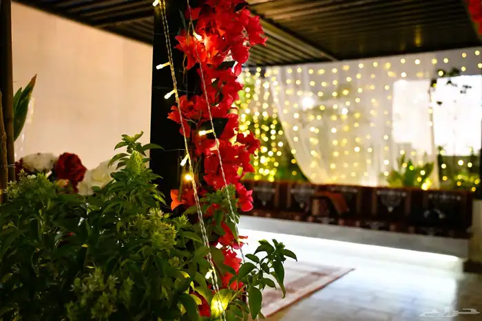 شاليهات فلورا  يلا للإيجار اليومي 24