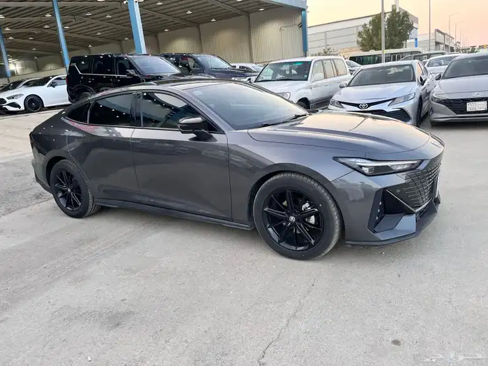 شانجان يوني في 2023 4