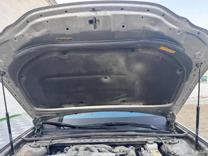 لكزز ( 350 شبه الاصفار ) 88