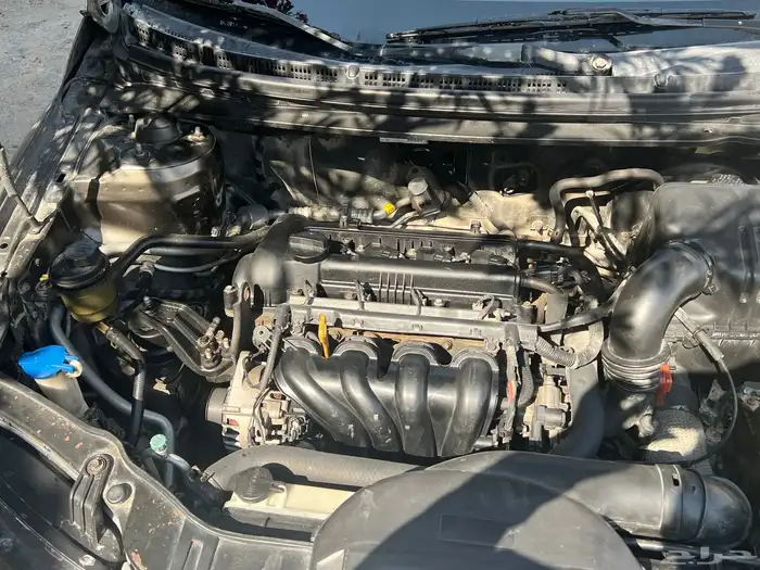 كيا سيراتو 2011 14