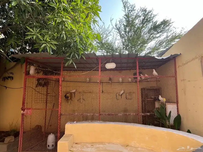 شبك قفص للبيع كيير 2