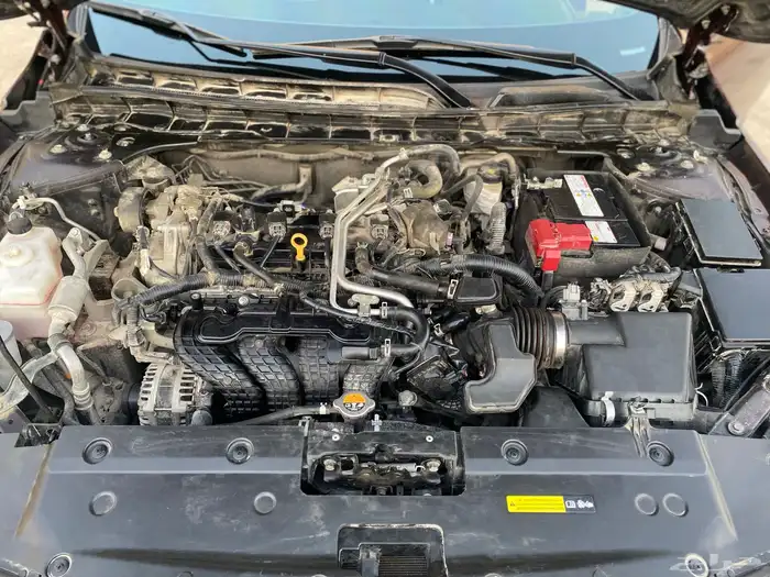 التيما 2023 SV 9