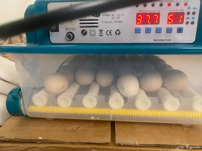 فقاسة 36 بيضة 2