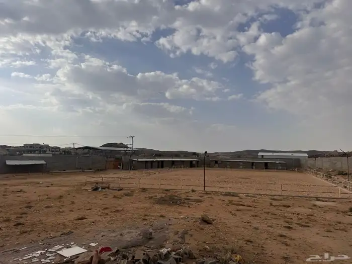 حوش م 7000 سكن 14غرفه صناعية الخميس للإيجار 2