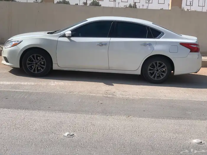 التيماء ستاندر مطور 2017 4