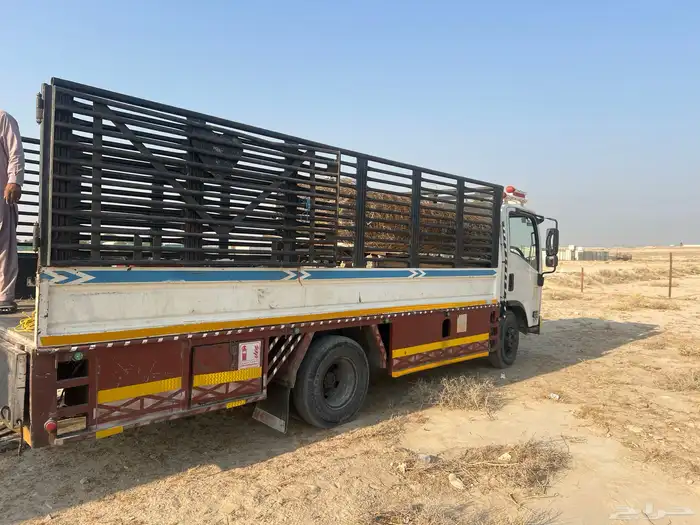 دينه نقل جميع انحاء المملكه 2