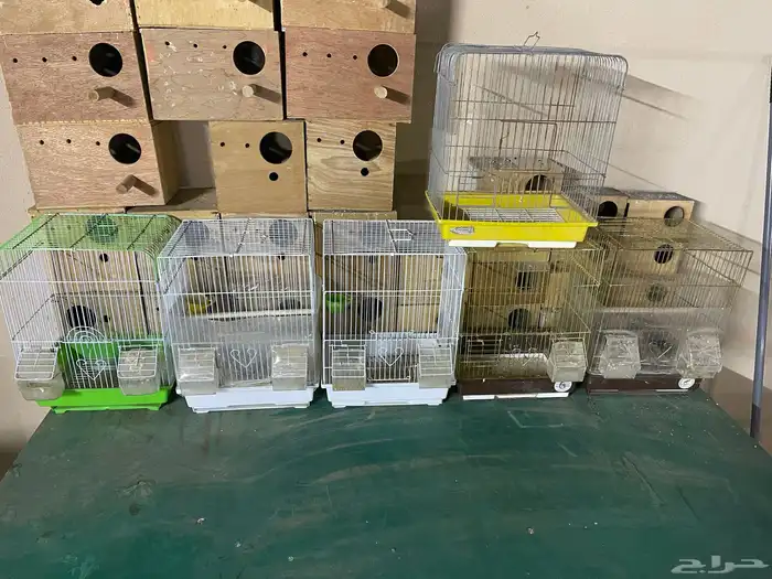 للبيع عشش واقفاص 2