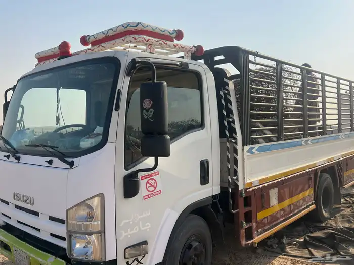 دينه نقل جميع انحاء المملكه 1