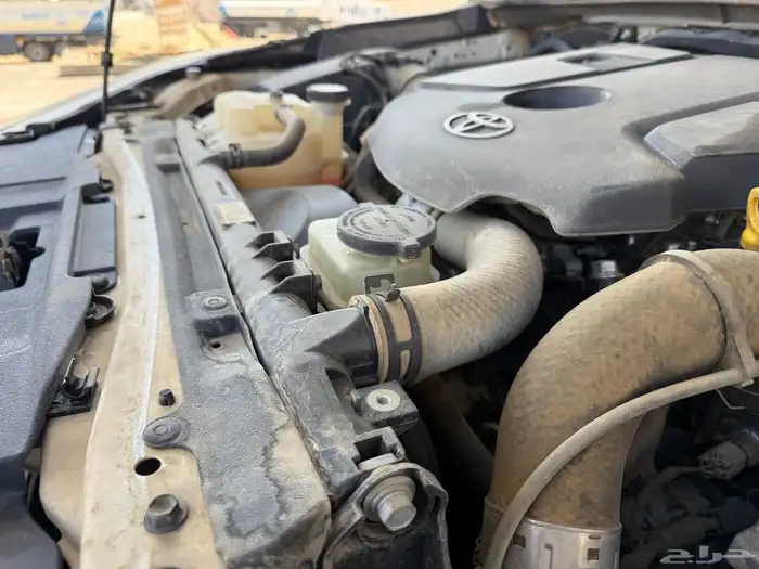 تم البيع الله يبارك للمشتري 19