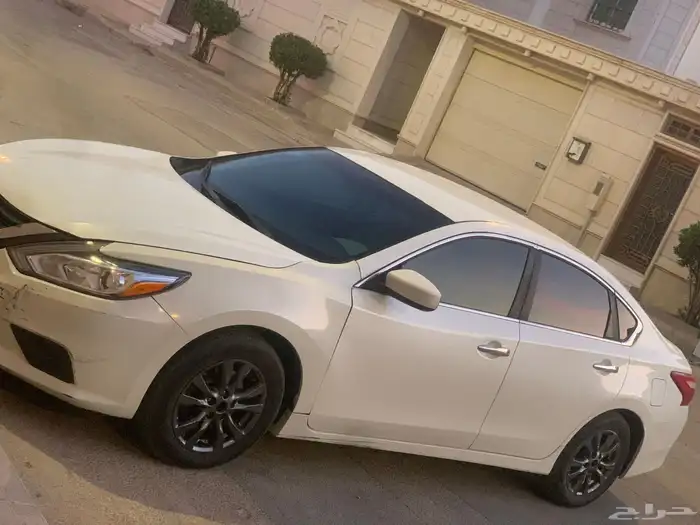 التيماء ستاندر مطور 2017 6