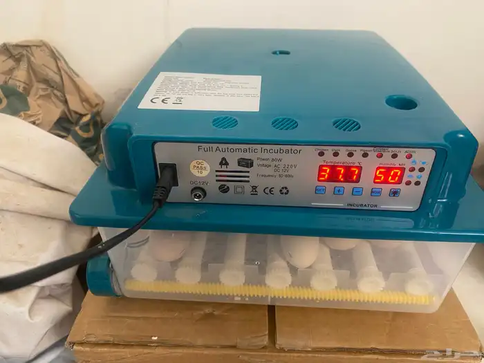 فقاسة 36 بيضة 0