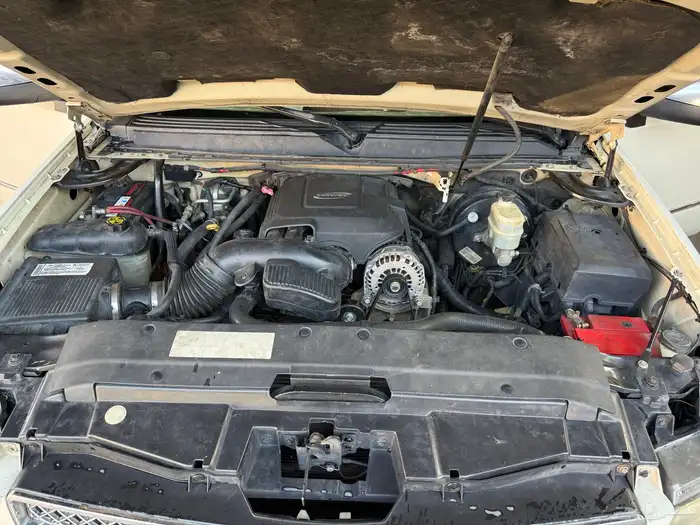 افلانش سعودي 2007 10