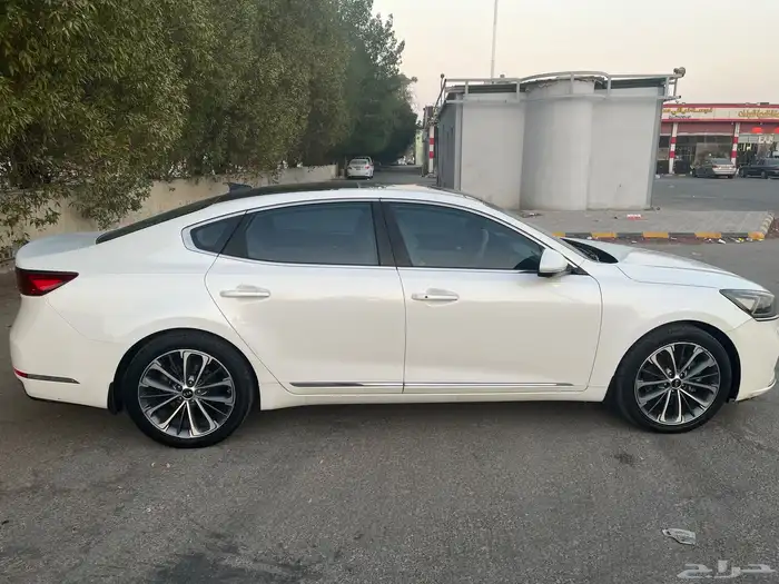 كادينزا فل 2017 9