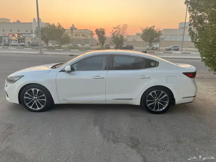 كادينزا فل 2017 8