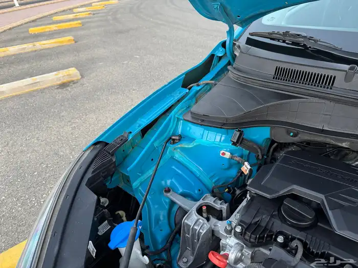 كونا 2022 فل كامل شد بلد 18