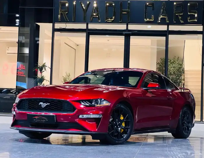 موستنج 2019 بيرفورمنس (بحاله ممتازه) 4