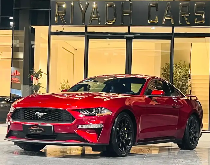 موستنج 2019 بيرفورمنس (بحاله ممتازه) 3