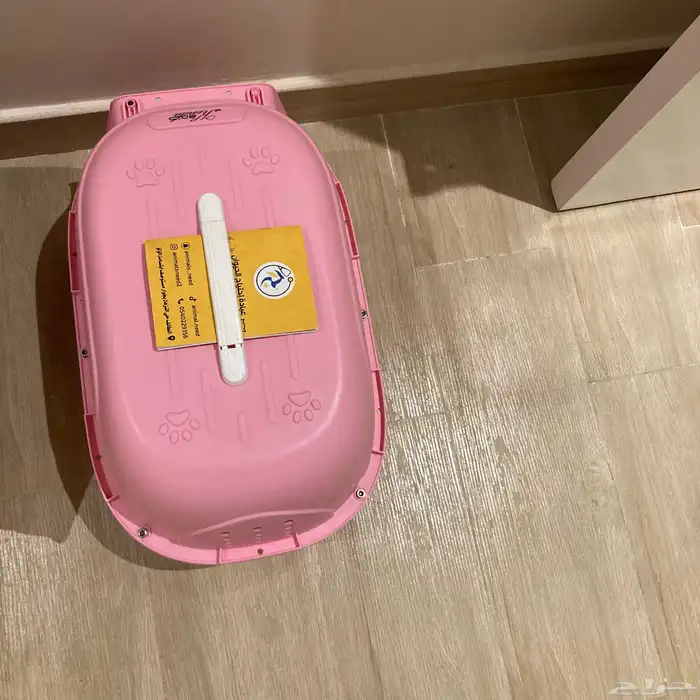 قط شيرازي ذكر 5