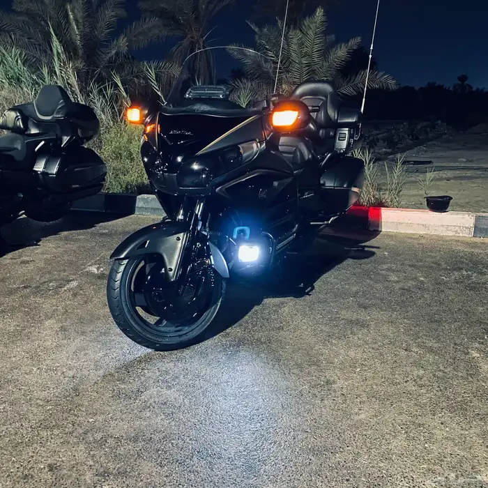 قولد وينق 2016 1