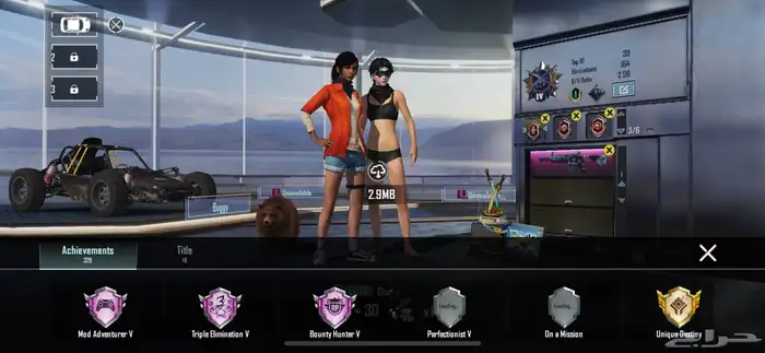 حساب ببجي على السوم 2