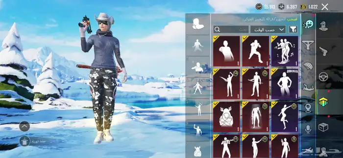 حساب ببجي نادر للبيع 20