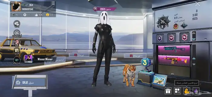 حساب ببجي للبيع 0