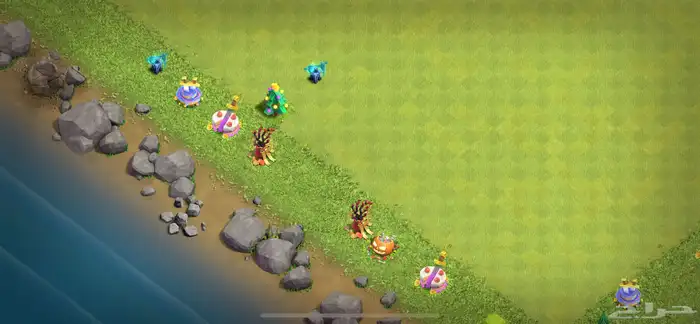 تاون13 ماكس للبيع 6