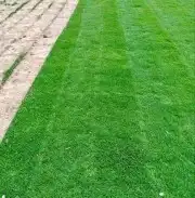 تيل طبيعي وشبكات الري 8