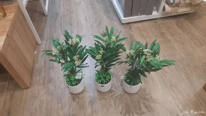 منسق حدائق وتركيب جميع شبكات الري العادي والاتمتك والدكور 1