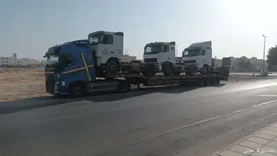 لوبد في جيزان index