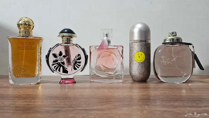 عطور اصليه بالجمله وتجزئه وبسعر حلو. استوكات وتسترات مطار 8