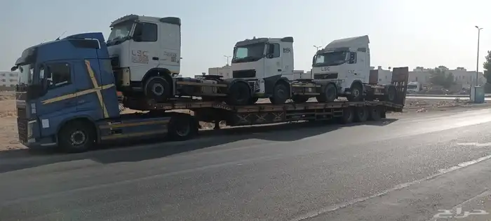 لوبد في جيزان 0