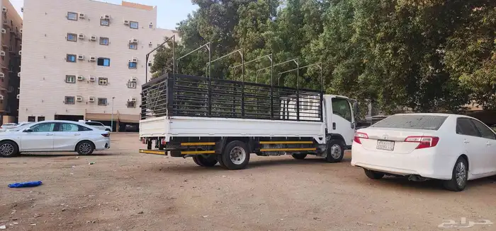 شبك دينا للبيع 2