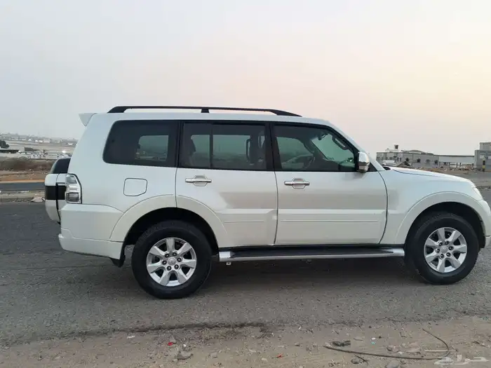 باجيروا 2017 6