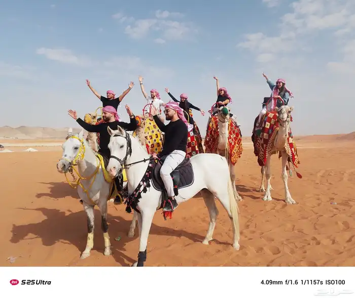 جمال وخيول 5