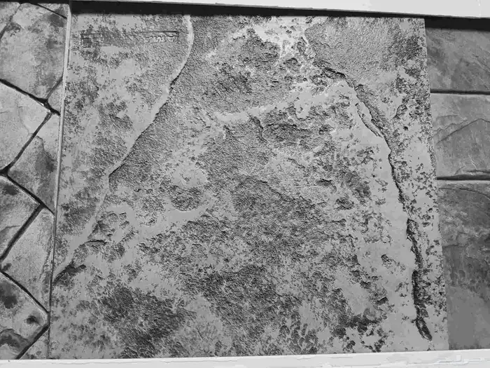 Stamped concrete construction and epoxy flooring services KS 2