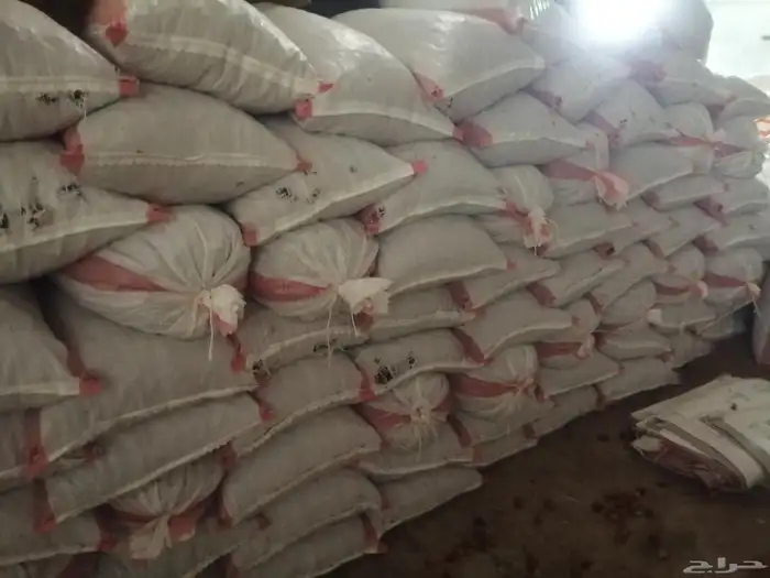 تمر علف للحلال ناشف أكياس مليانه ماشاء الله تبارك 5