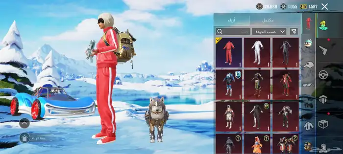 حساب ببجي للبيع مستعجل 850 4