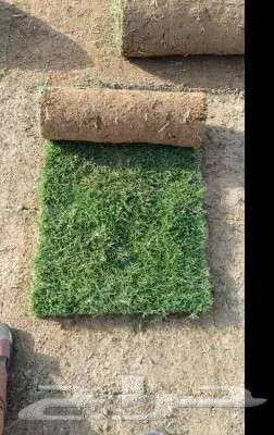 تنسيق حدائق 3