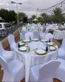 كراسي طاولات كراسي شفاف 9