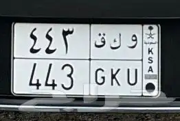 لوحه شبه مميزه 443 0