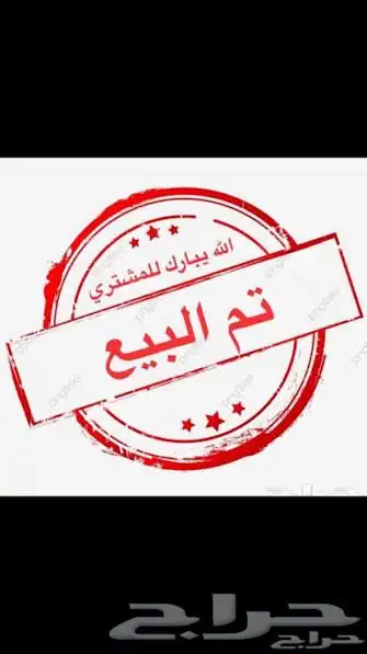 حمام زاجل سباق 0