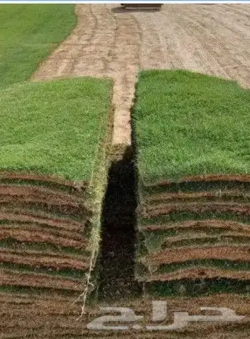 تيل طبيعي وشبكات الري 2