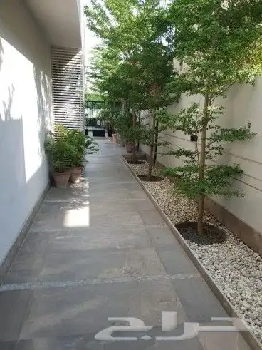 يوجد جميع انواع الاشجار والنباتات يوجد تيل طبيعي يوجد جميع 8