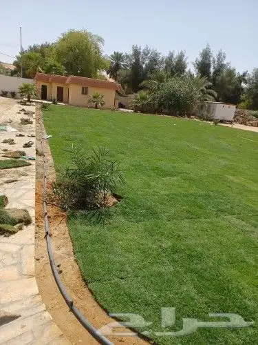 تيل طبيعي وشبكات الري 3