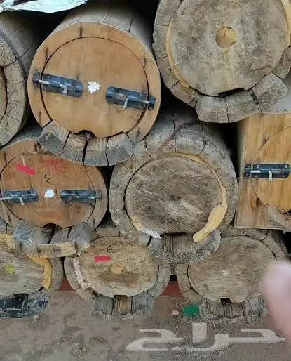 نحل للبيع في تية دارس 0