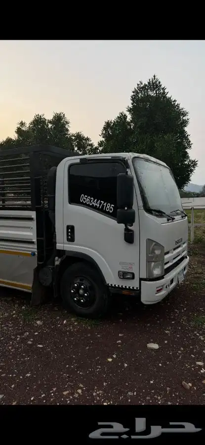 دينا اسيوزو 2016 مالك اول 1